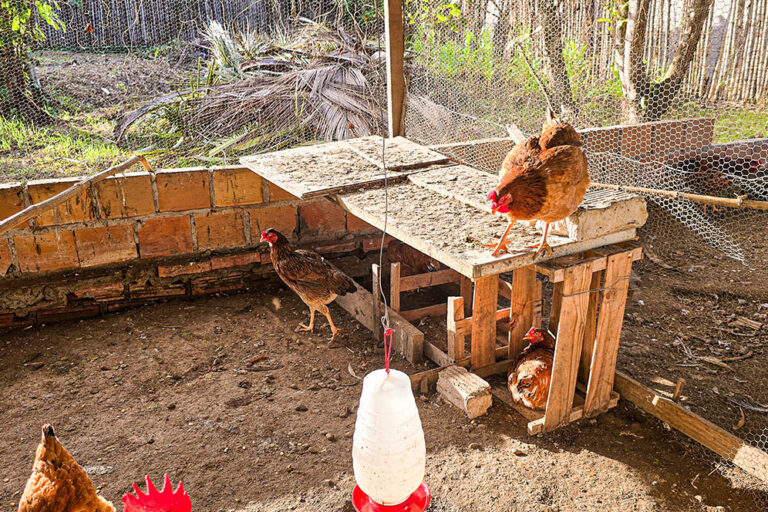 v7